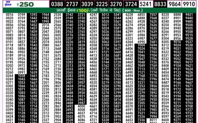 Rajshree 50 shukra weekly lottery 7.30pm result 8 November 2024