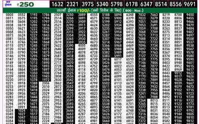 Rajshree 50 shukra weekly lottery 7.30pm result 15 November 2024