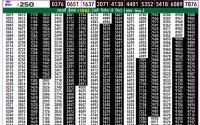 Rajshree 50  weekly lottery 7.30pm result 11 November 2024