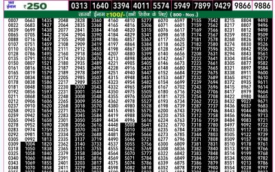 Rajshree 50 som weekly lottery 7.30pm result 18 November 2024