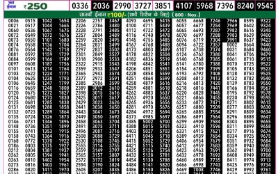 Rajshree 50 Budh weekly lottery 7.30pm result 20 November 2024