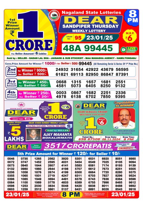 Rajshree Lottery Result Today